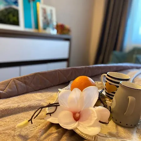 Apartamento Victoriei Deluxe