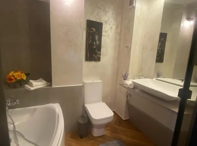 아파트 Victoriei Deluxe 부쿠레슈티