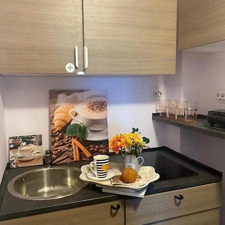 Apartment Victoriei Deluxe Bucharest